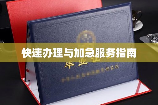 双清快速办理与加急服务指南