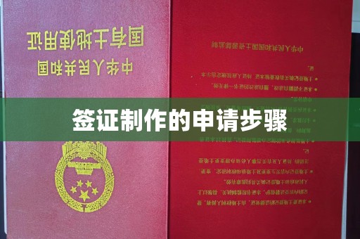 双清签证制作的申请步骤