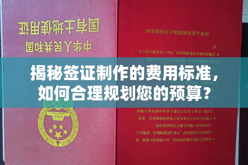 双清揭秘签证制作的费用标准，如何合理规划您的预算？