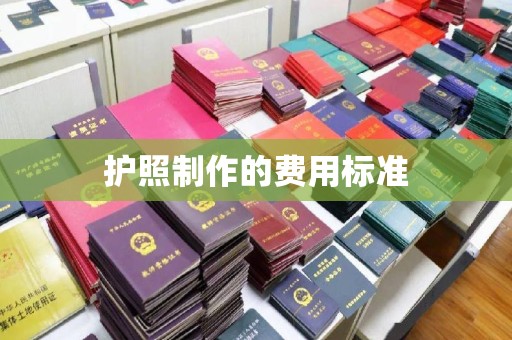 双清护照制作的费用标准