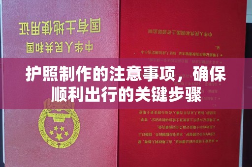 双清护照制作的注意事项，确保顺利出行的关键步骤