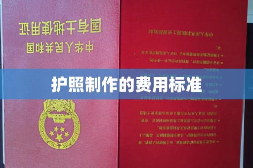 双清护照制作的费用标准