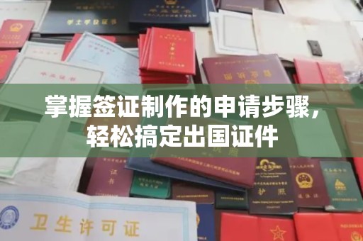 双清掌握签证制作的申请步骤，轻松搞定出国证件