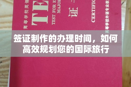 双清签证制作的办理时间，如何高效规划您的国际旅行