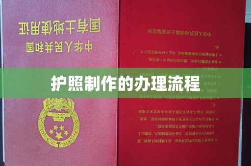 双清护照制作的办理流程